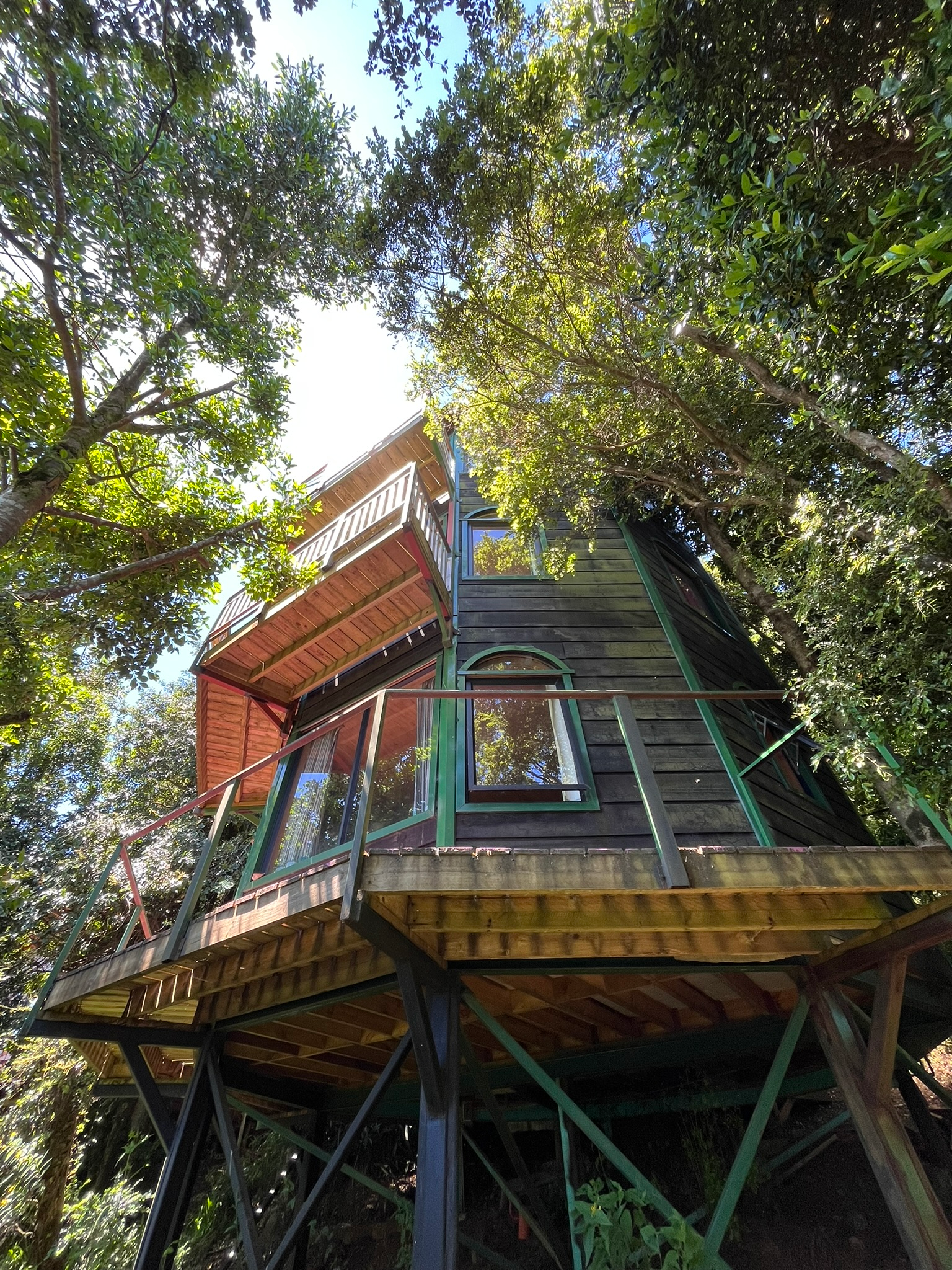 imagen 2025 12 10 173344740