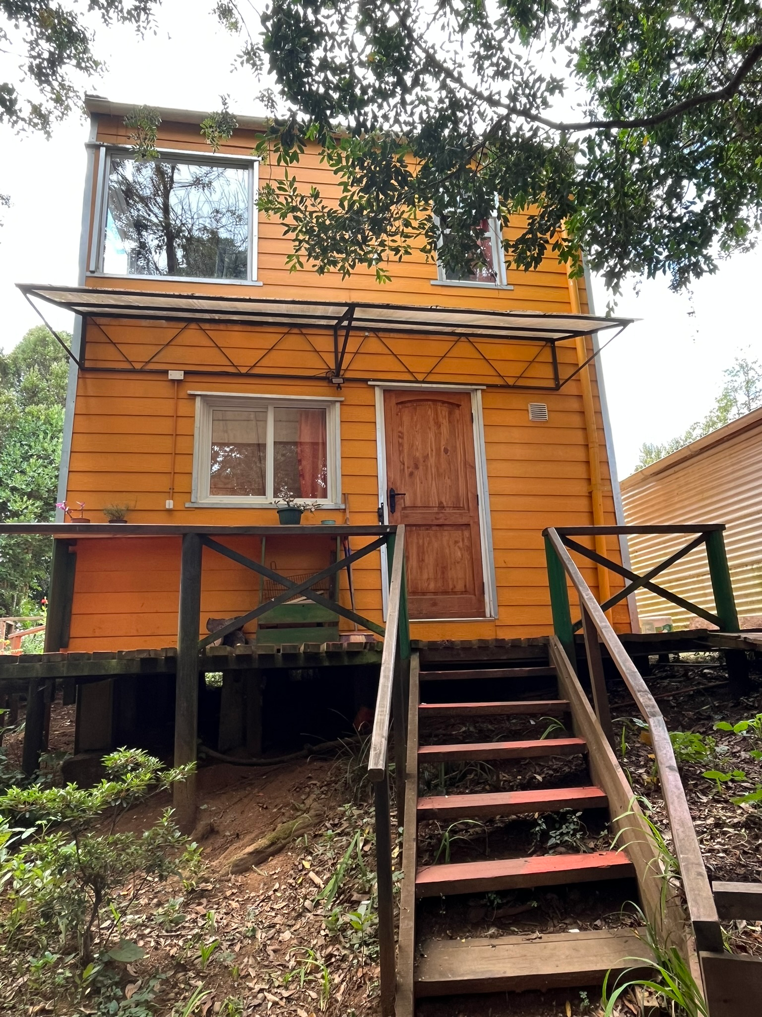 imagen 2025 12 10 173716109